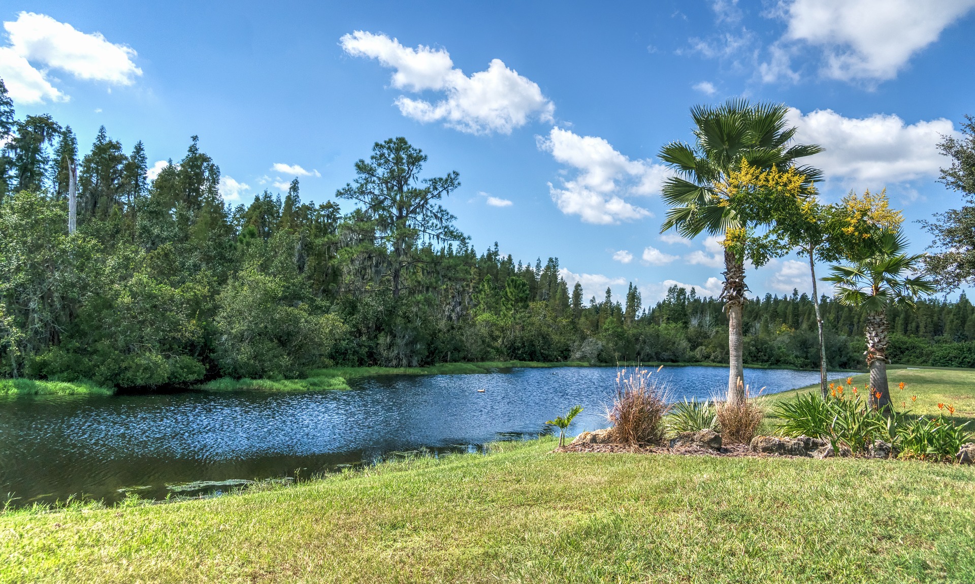 Florida Landscape